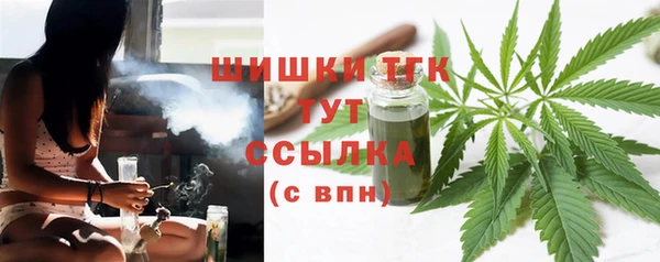 гашик Ростов