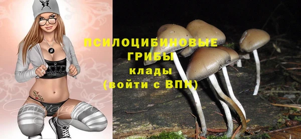 гашик Ростов