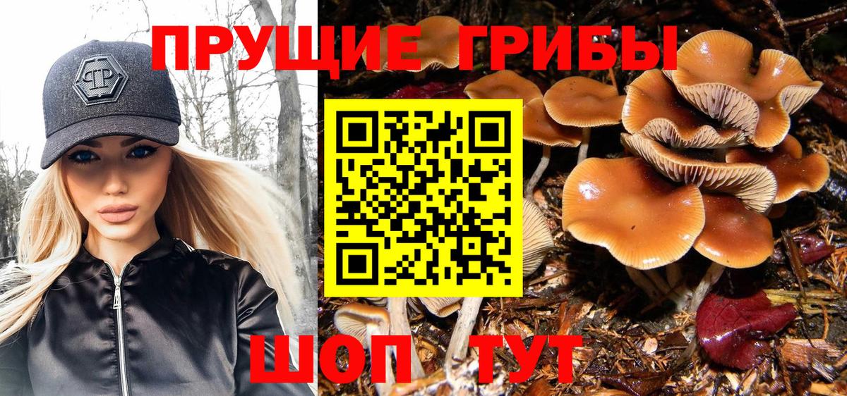 Протвино  Псилоцибиновые грибы мухоморы  Вход с VPN 